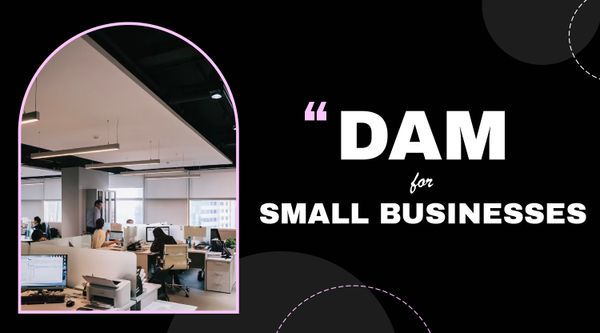 Digital Asset Management (DAM) for small businesses: A guide