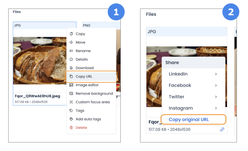 Progressive JPEG - ImageKit - How to get your image URL from Imagekit Media Library